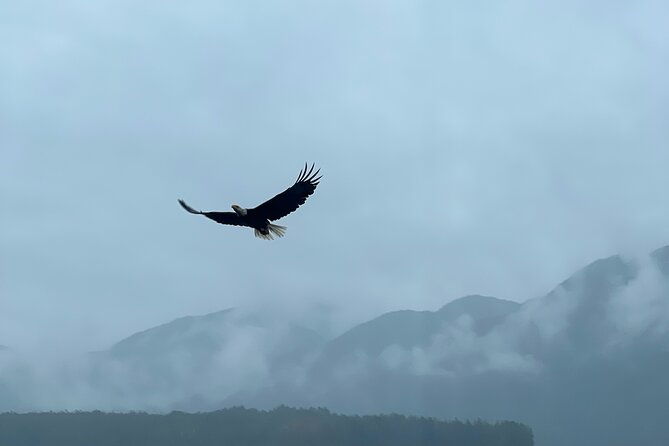 custom-tour-in-ketchikan