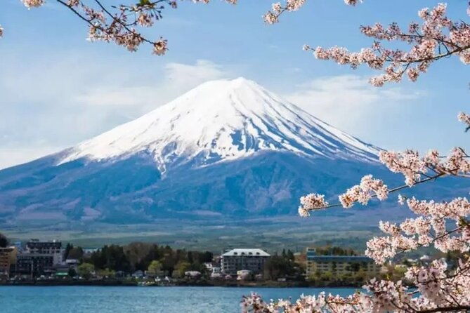 customizable-10-hour-private-tour-from-tokyo-to-mount-fuji