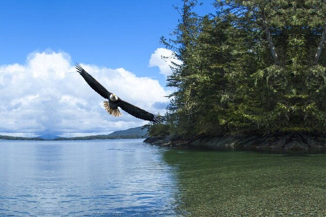 customizable-private-tour-in-ketchikan-with-pick-up