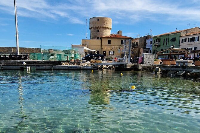 daily-excursions-and-guaranteed-fun-in-argentario