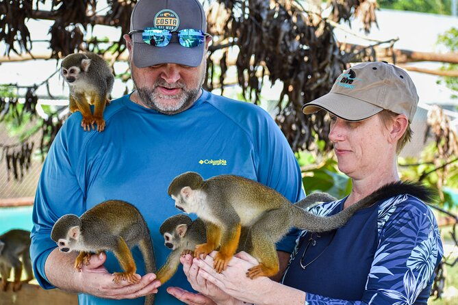 damajagua-waterfall-monkey-home-private-minivan-tour