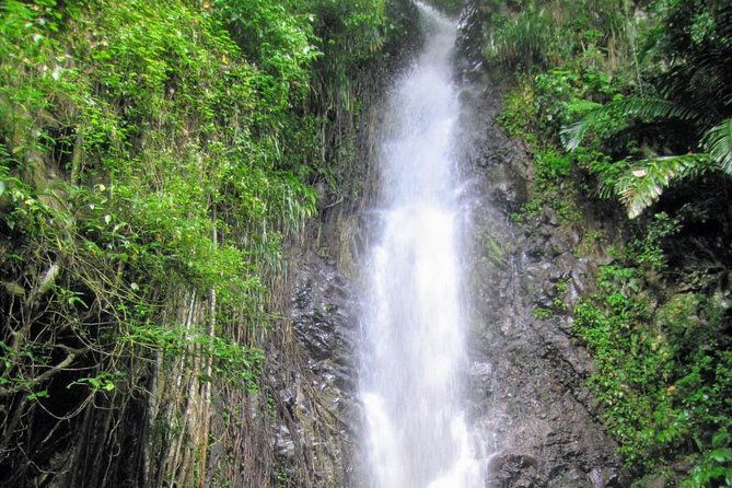 dark-view-falls-tour-and-beach