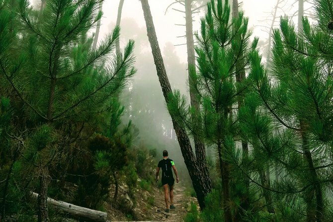day-hike-in-the-mountains-of-sanremo