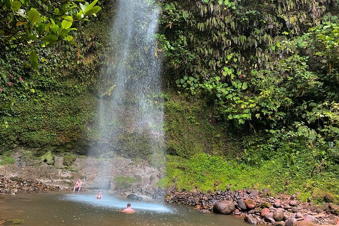 day-tour-in-the-puyopungo-amazon-rainforest