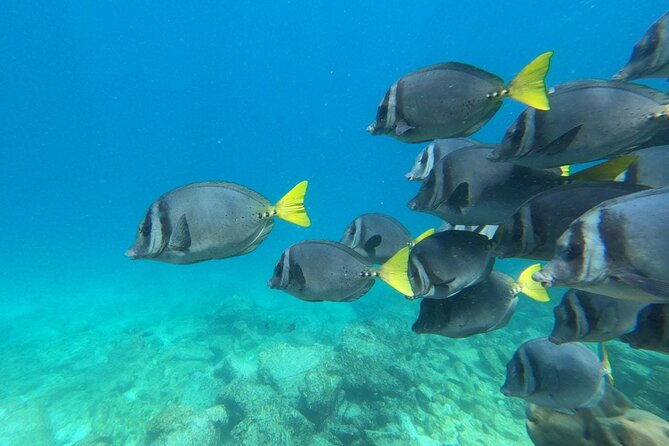 day-tour-to-san-cristobal-island-with-private-land-tour-and-snorkeling