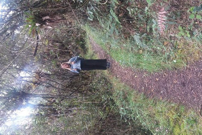 day-tour-to-the-cajas-national-park-hosteria-dos-chorreras