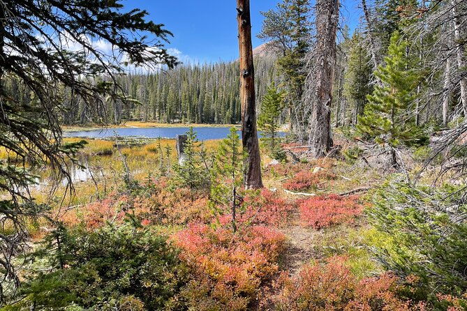 day-trip-activity-at-utah-mountain-backcountry-with-box-lunch