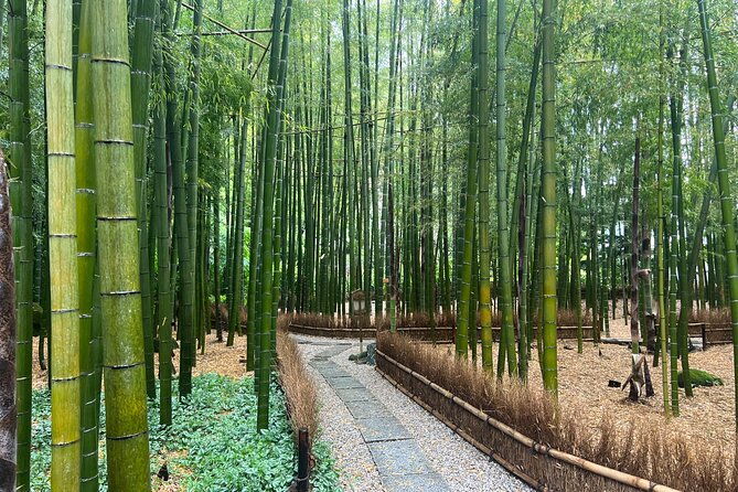 day-trip-kamakura-from-tokyo-with-national-licensed-guide