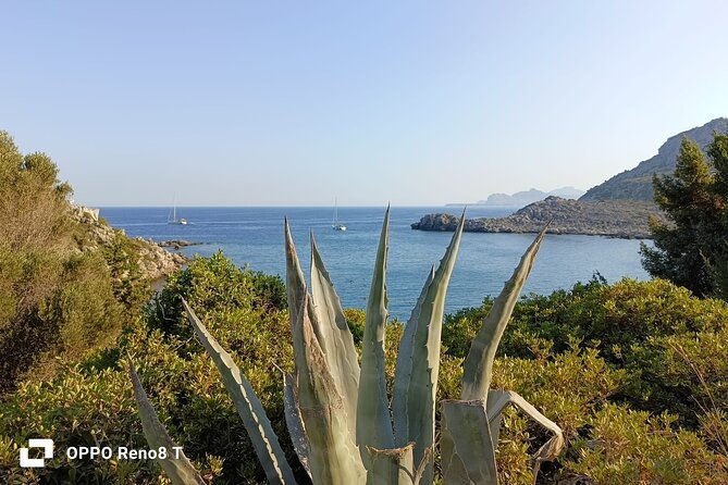 day-trip-to-the-paphos-amazing-sides-from-limassol-2