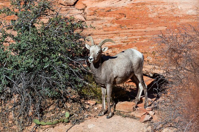 delicate-arch-trail-self-guided-audio-walking-tour
