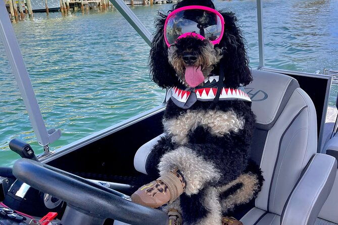 destin-private-chartered-slide-pontoon-boat-up-to-6-guests