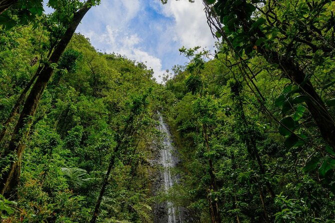 diamond-head-and-manoa-falls-hike-and-adventure-tour