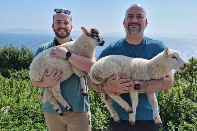 dingle-hour-slea-head-drive-tour-4hr-personal-chauffeur-guide