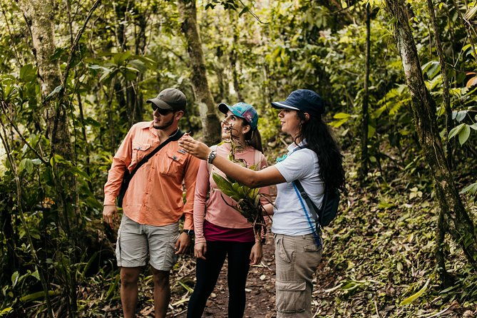 discover-a-lagoon-on-the-crater-of-ipala-volcano-private-full-day-tour