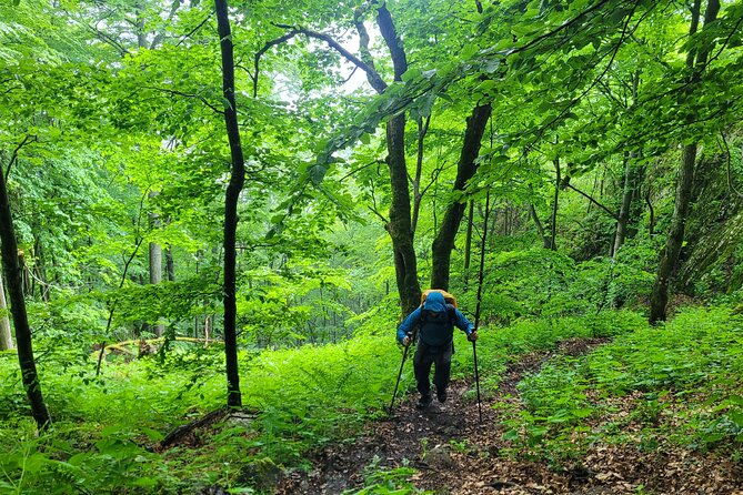 discover-apuseni-mountains-scarita-summitsipote-waterfall-and-dumesti-village
