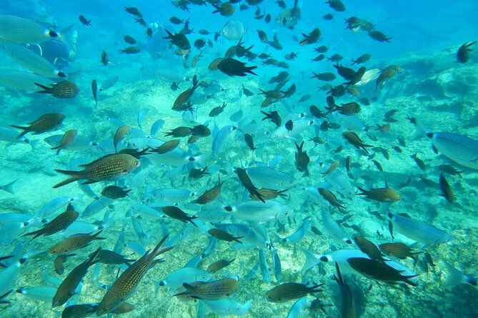 discover-scuba-diving-4