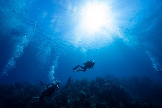 discover-scuba-diving-in-roatan-at-upachaya-with-private-transfer
