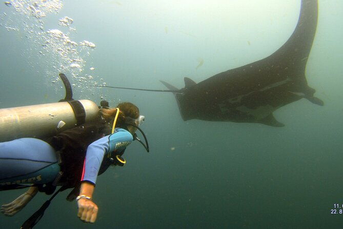 discover-scuba-diving-padi-mini-course-tamarindo