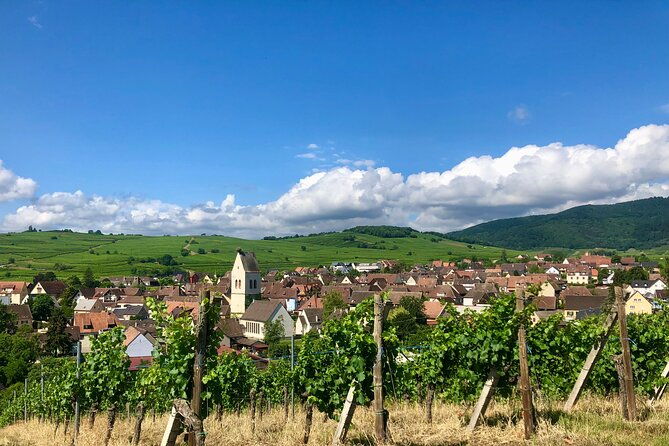 discovery-vineyard