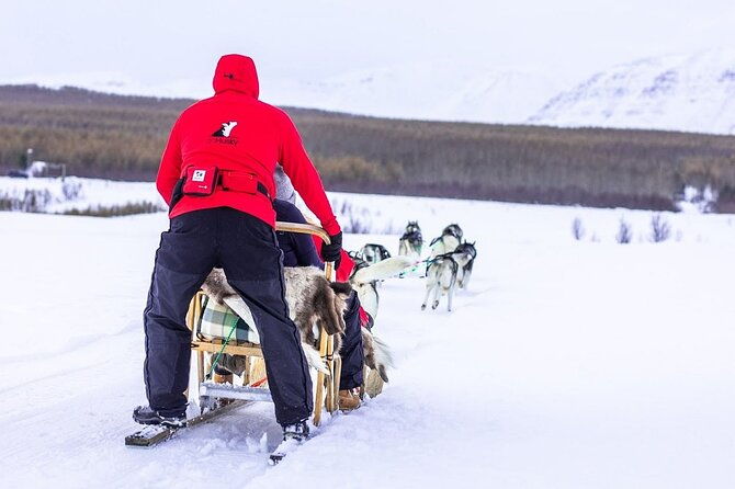 dogsledding-near-akureyri