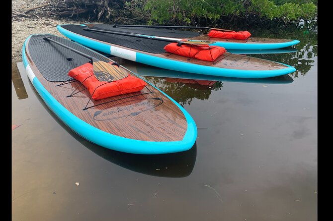 dolphin-and-manatee-adventure-tour-of-osprey-with-florida-history