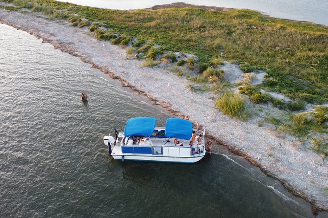 dolphin-boat-tour-from-folly-beach-to-morris-island