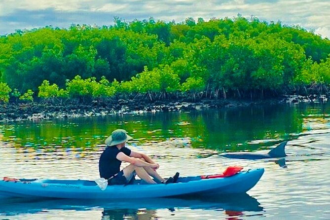 dolphin-manatee-and-sea-turtle-kayak-adventure