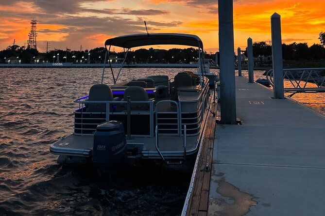 dolphin-manatee-pontoon-boat-tour-with-local-expert