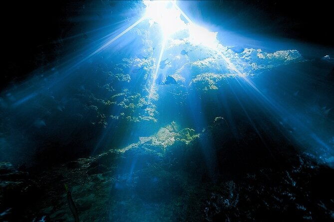 dolphin-sea-cave-captain-cook-kealakekua-bay-reef-snorkeling-2