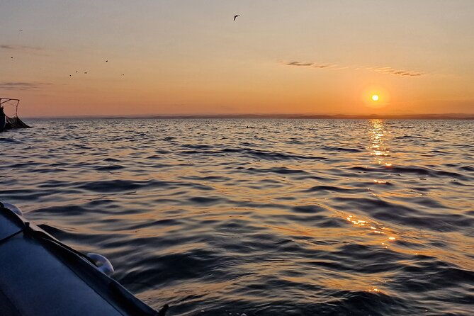 dolphin-sunrise-adventure-with-speedboat