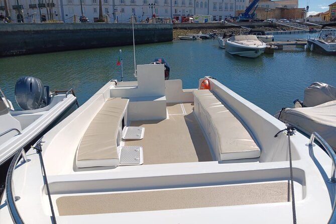 dolphin-watching-and-wildlife-from-faro