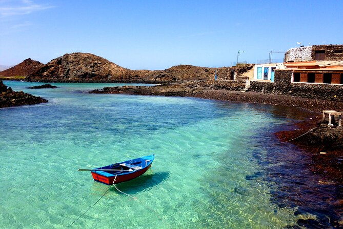 dolphin-watching-cruise-to-lobos-island