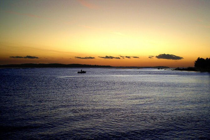 dolphin-watching-pula-boat