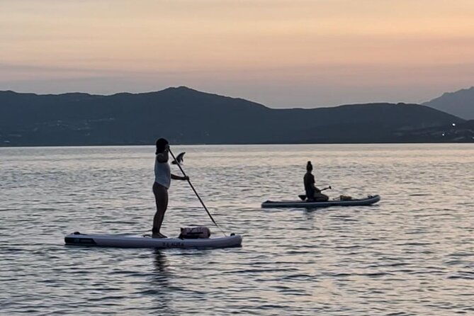 dolphin-watching-sup-tour-with-golfo-aranci-aperitif