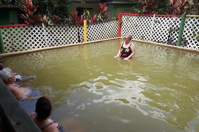 dominica-half-day-tour-mero-beach-waterfalls-mineral-bath-wotten-waven