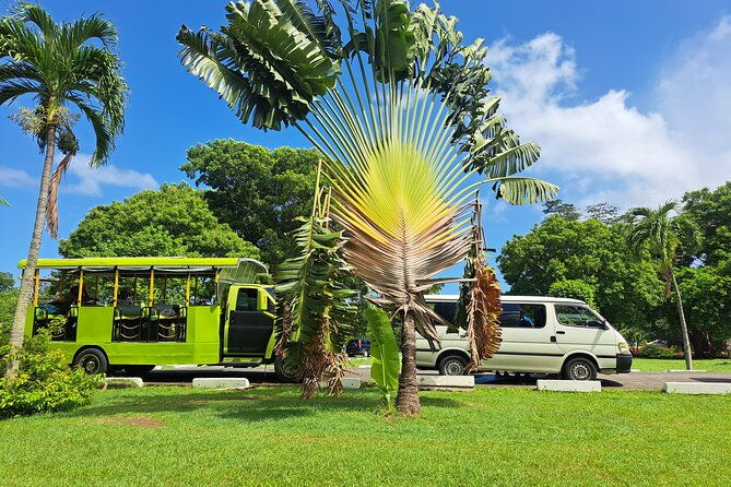 dominica-roseau-city-and-rainforest-tour