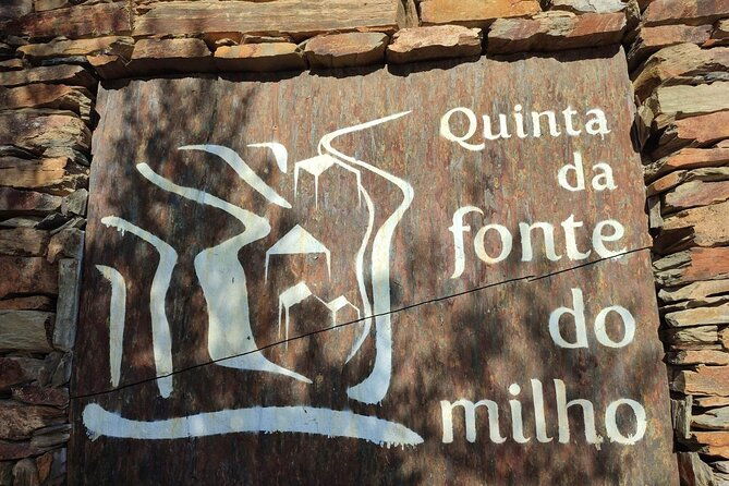 douro-valley-amazing-wine-tours