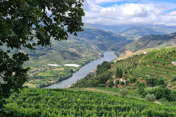 douro-valley-private-tour-winery-boat-viewpoint
