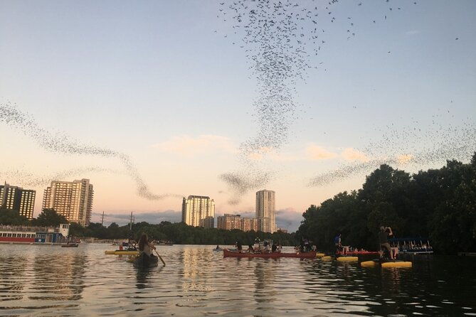 downtown-austin-sunset-kayak-tour-with-1-5-million-bats