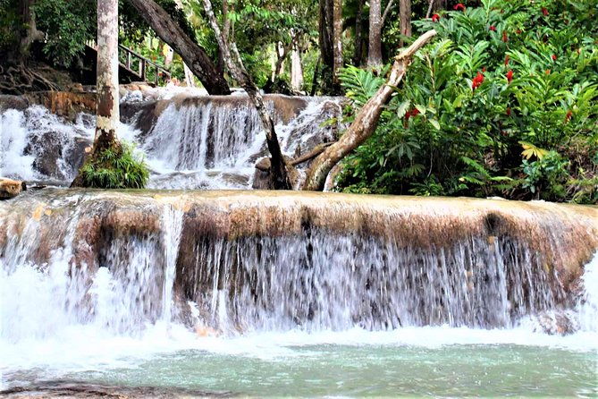 dunns-river-falls-luminous-lagoon-guided-tour-with-admission-from-falmouth