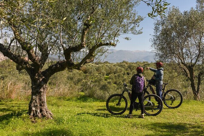 e-bike-kalamata-olive-routes