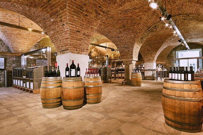 e-bike-wine-culture-tour