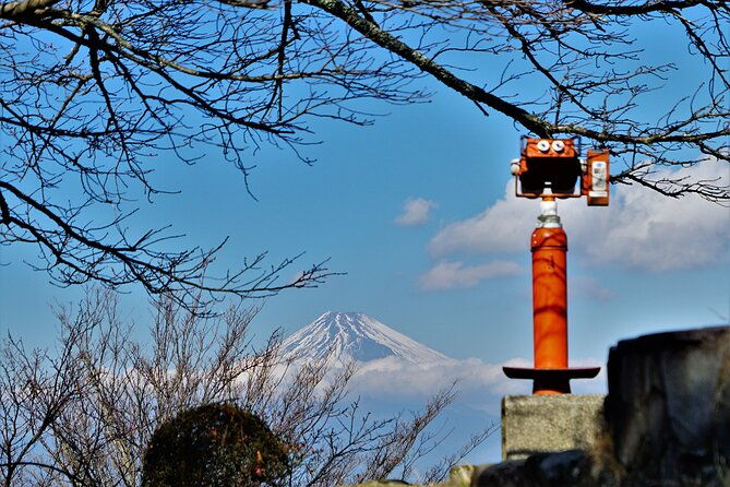 early-blooming-cherry-blossoms-fruit-picking-1day-tour