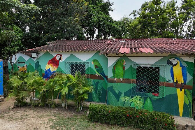 eco-adventure-and-volunteering-at-parrots-and-macaws-sanctuary