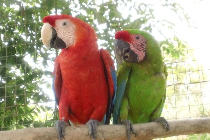 eco-park-and-beach-tour-in-roatan
