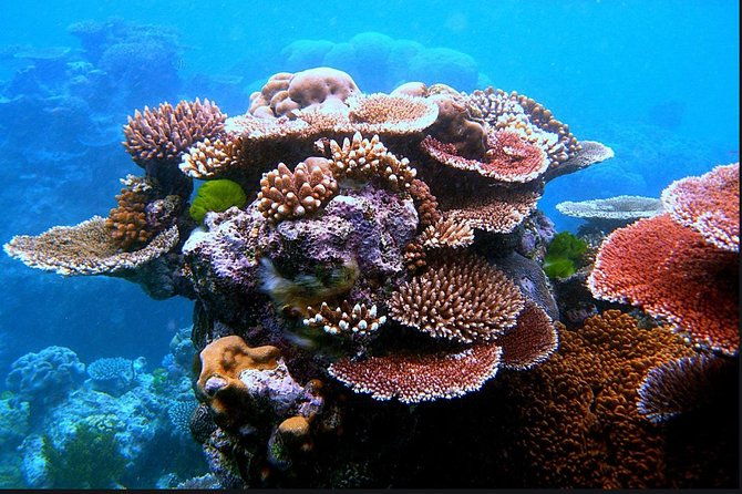 eco-sea-scooter-guided-beach-tour-from-the-famous-kapalua-bay
