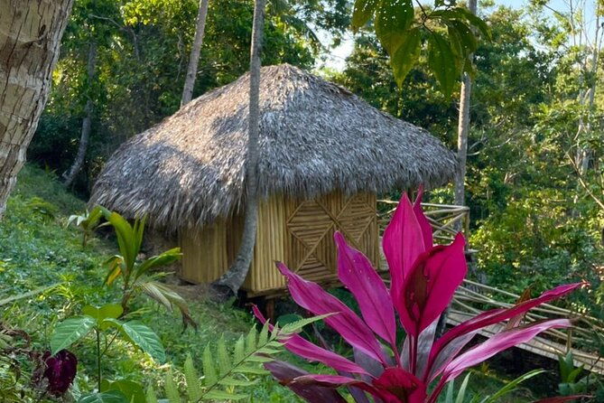 ecolodge-overnight-experience-el-limon-waterfalls-samana-dr