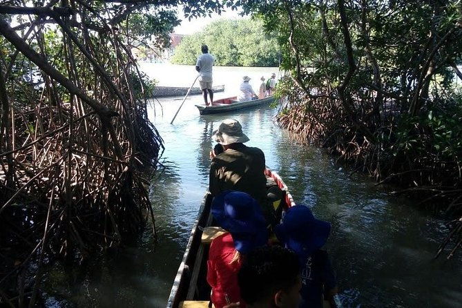 ecoruta-volcano-of-totumo-and-experience-in-the-mangroves