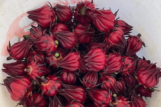edible-hibiscus-guided-farm-tour-big-island