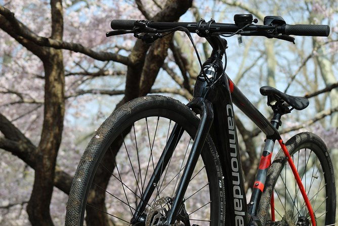 electric-bike-tour-of-manhattan-and-the-waterfront-greenway